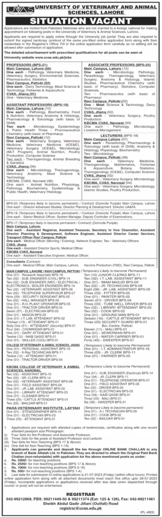 University of Veterinary and Animal Sciences Lahore Jobs 2023