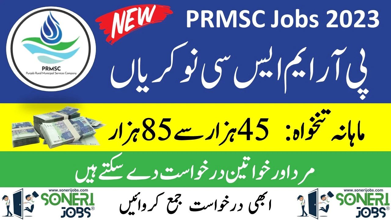Punjab Rural Municipal Services Company Jobs 2023