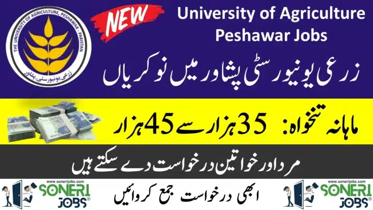 University of Agriculture Peshawar Jobs 2023