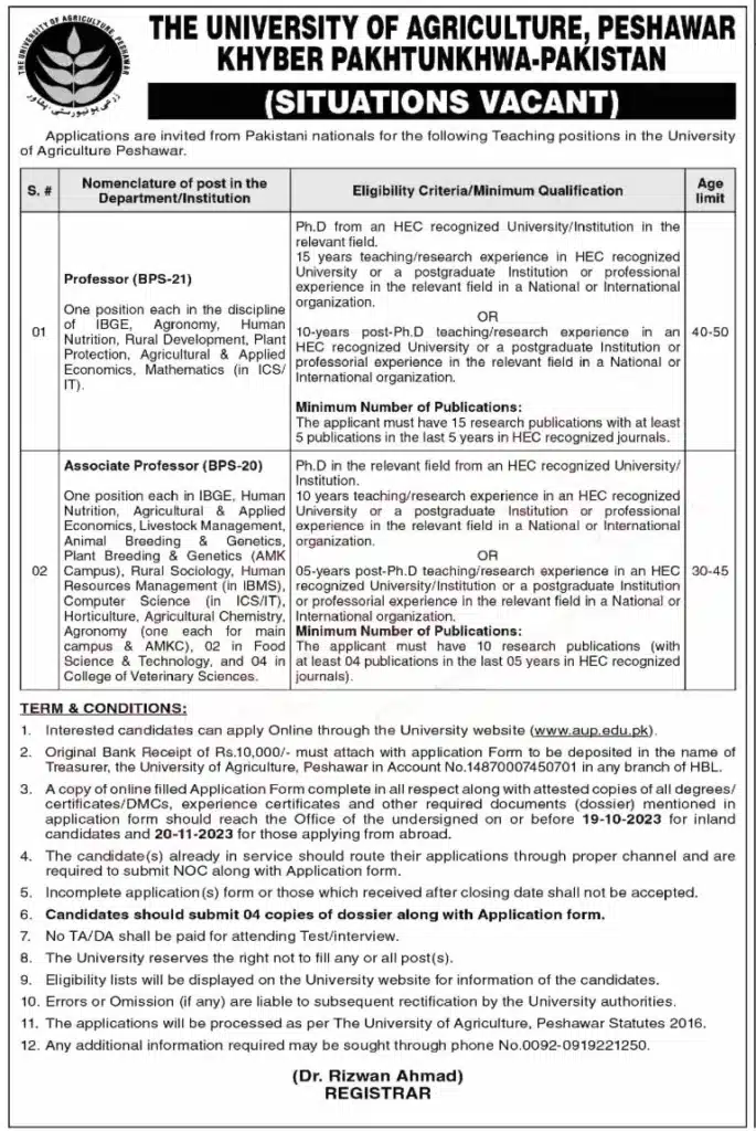 University of Agriculture Peshawar Jobs 2023