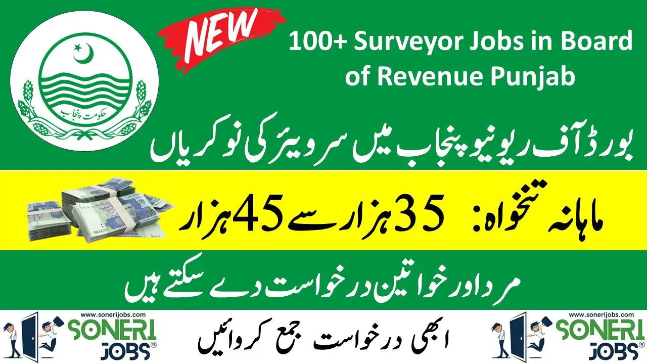 100+ Surveyor Jobs in Board of Revenue Punjab 2023