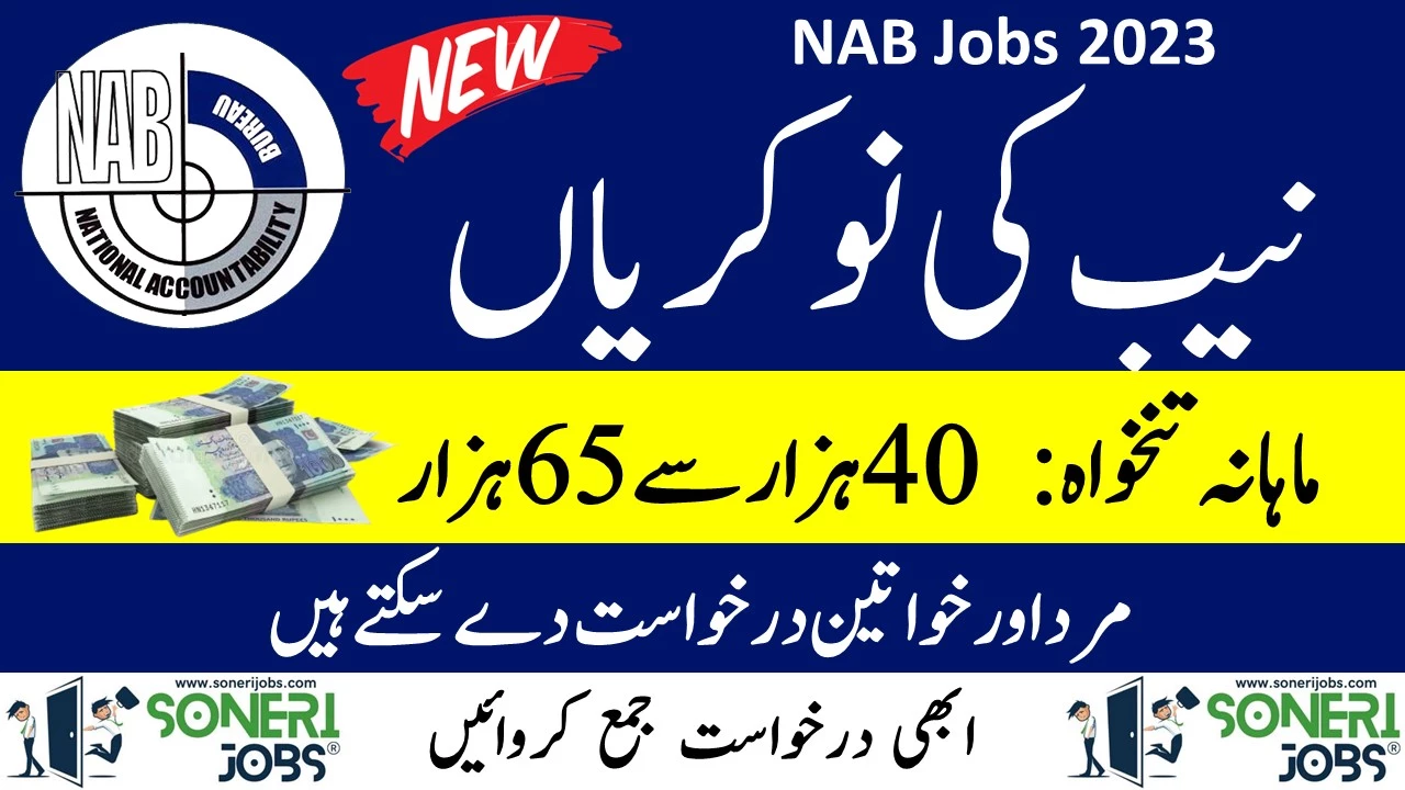 NAB Jobs 2023 - Application Form