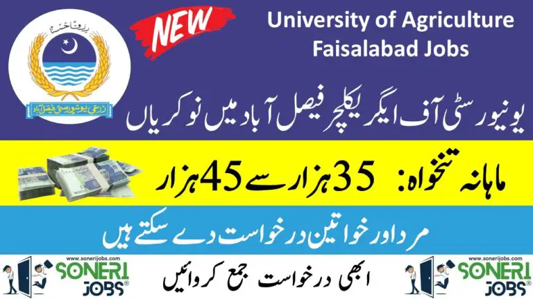 University of Agriculture Faisalabad Jobs 2023