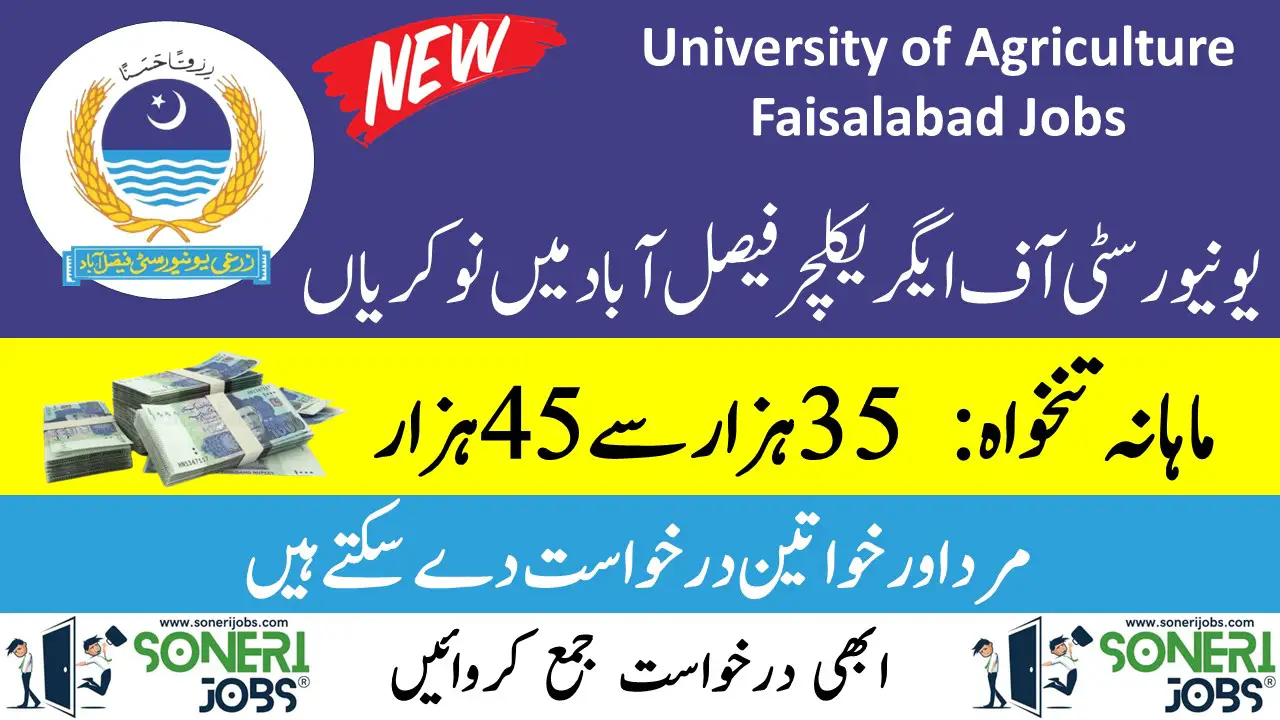 University of Agriculture Faisalabad Jobs 2023