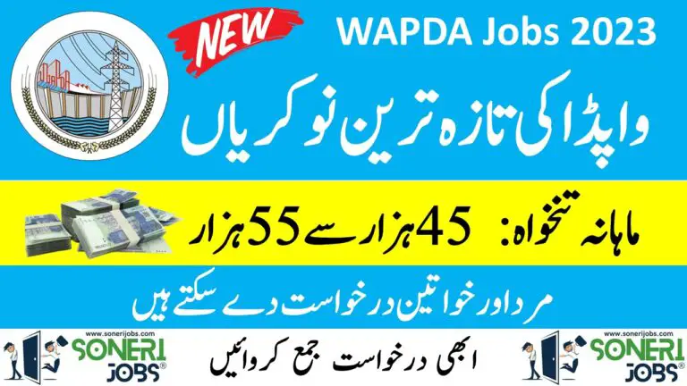 WAPDA Jobs 2023 as Advisor Environment