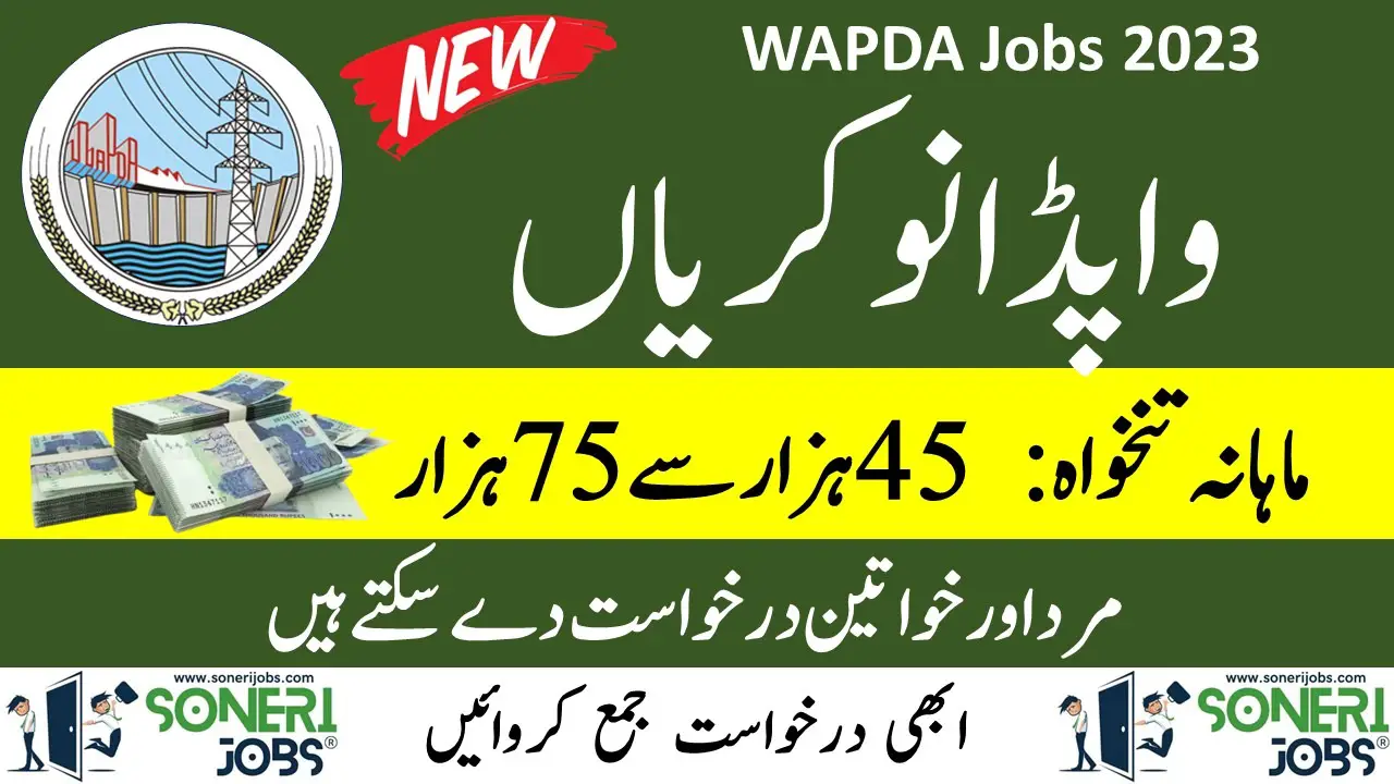 WAPDA Jobs Advertisement