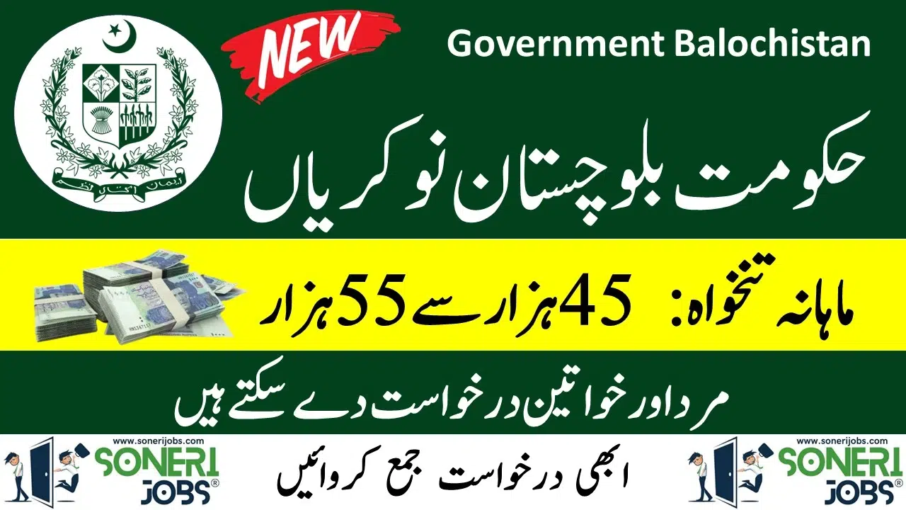 Government Balochistan Jobs at PO Box 86 GPO Quetta 2023