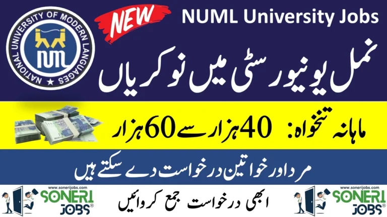 NUML University Jobs 2023 Karachi Campus