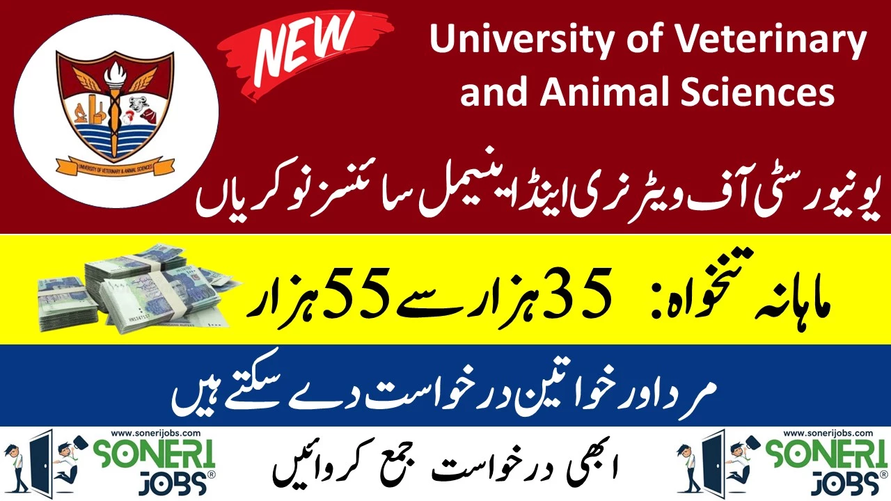 UVAS Jobs 2023 - University of Veterinary and Animal Sciences Lahore