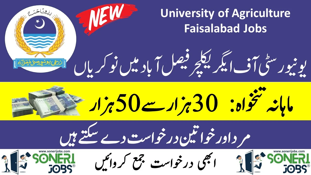 University of Agriculture Faisalabad Jobs 2023