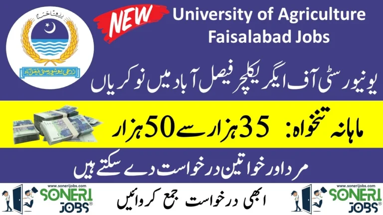 University of Agriculture Faisalabad Jobs 2023