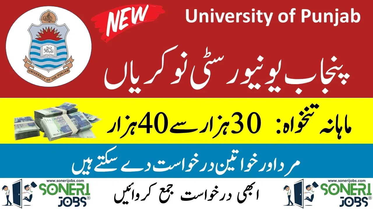 University of Punjab Jobs 2023