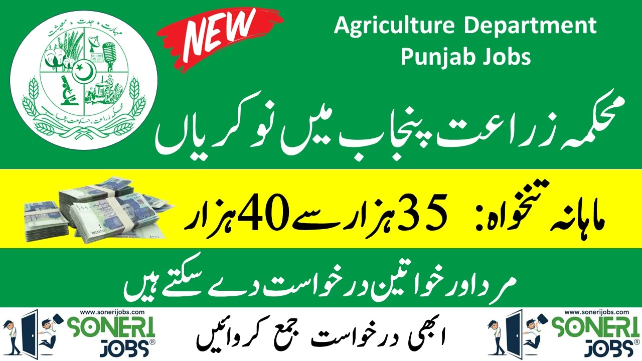 Agriculture Department Punjab Jobs 2024