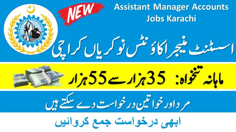 Assistant Manager Accounts Jobs Karachi 2024