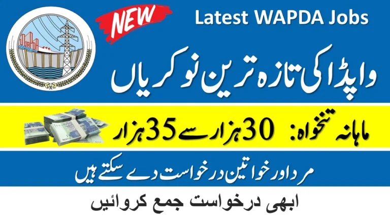 Latest WAPDA Jobs 2024 Application Form