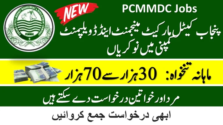 PCMMDC Jobs 2024 - Apply Online