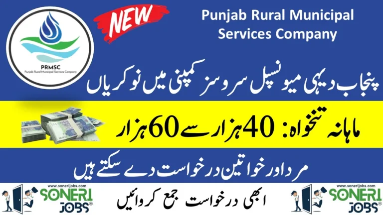 Punjab Rural Municipal Services Company Jobs 2024