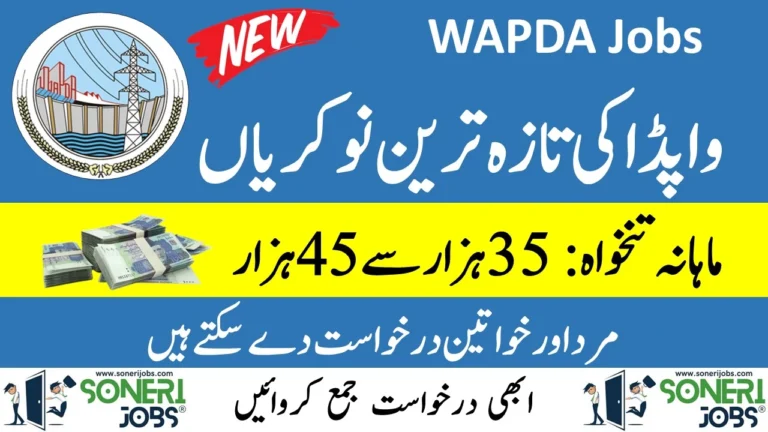 WAPDA Jobs 2024 - Apply Online