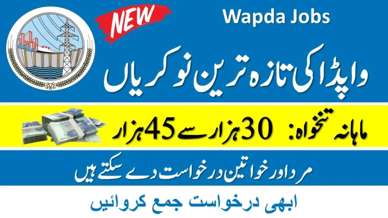 Wapda Jobs 2024 - Online Registration