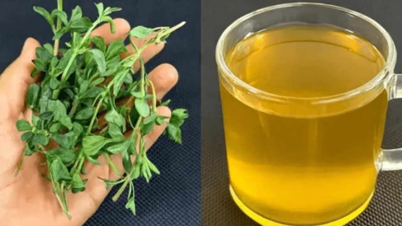 Beat Type 2 Diabetes, Cholesterol, Obesity, Poor Circulation, and Arthritis Naturally