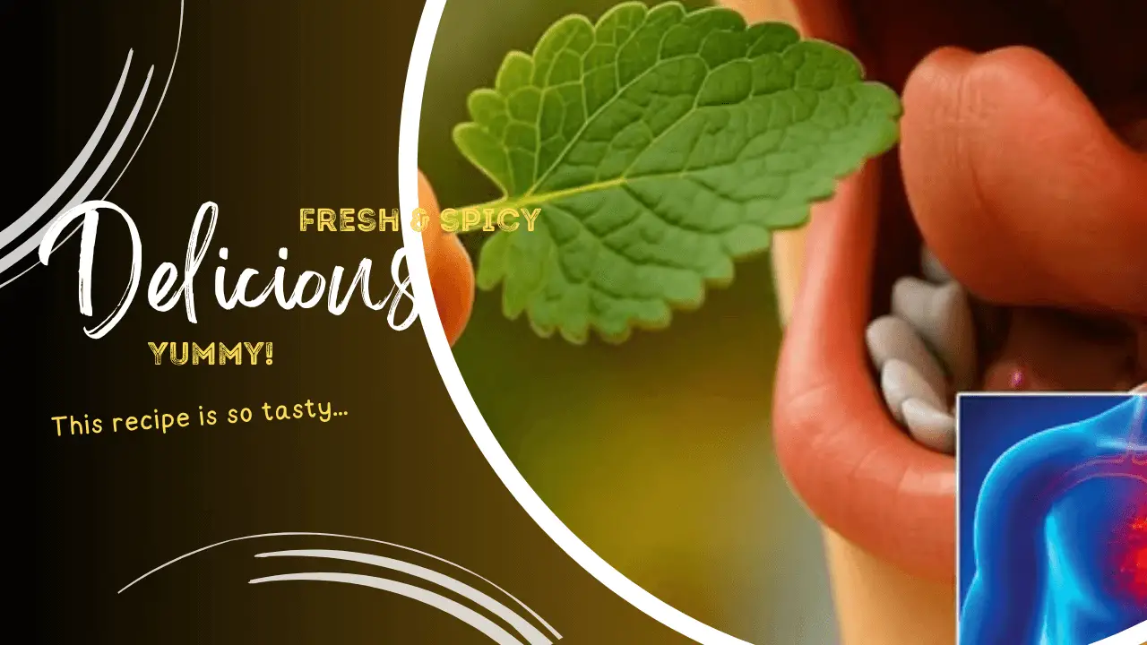 You Will Not Believe the Benefits of Eating Mint on Your Body’s Health