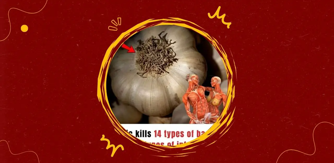 Garlic Wellness Elixir