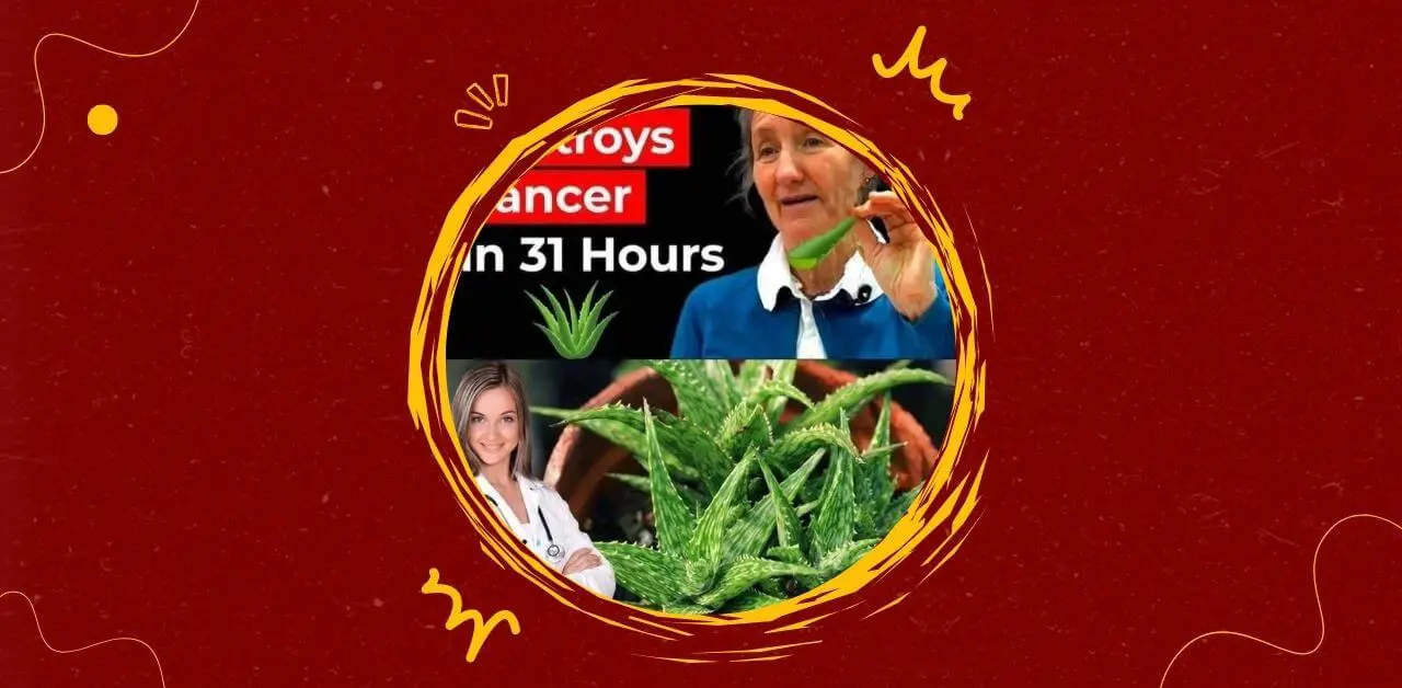 Aloe Vera Immunity Elixir