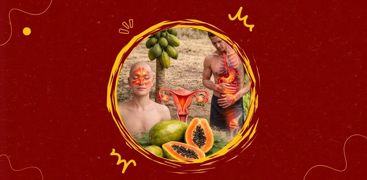 Papaya Wellness Smoothie Recipe