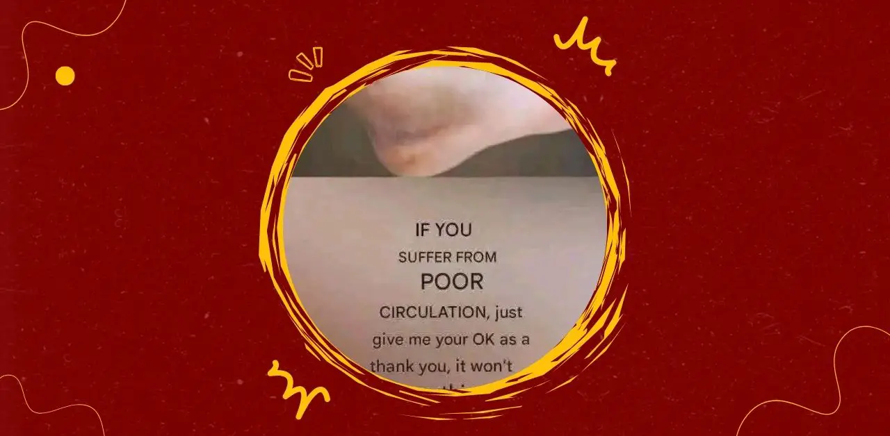 Warming Spiced Herbal Tea Recipe