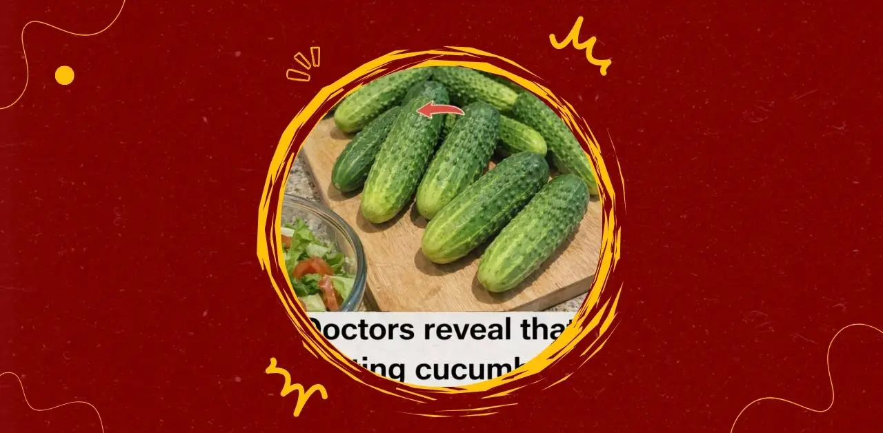 Benefits and Culinary Joy of Cucumbers in Salad