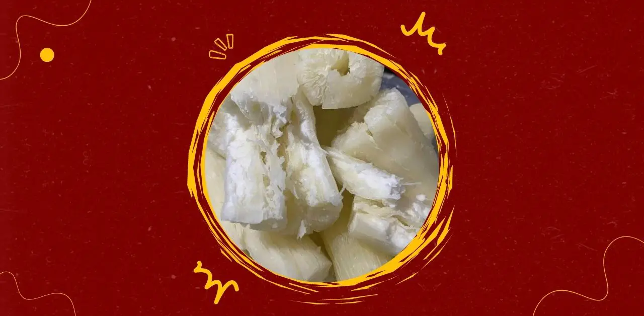 Sugarcane Nature’s Sweet Gift