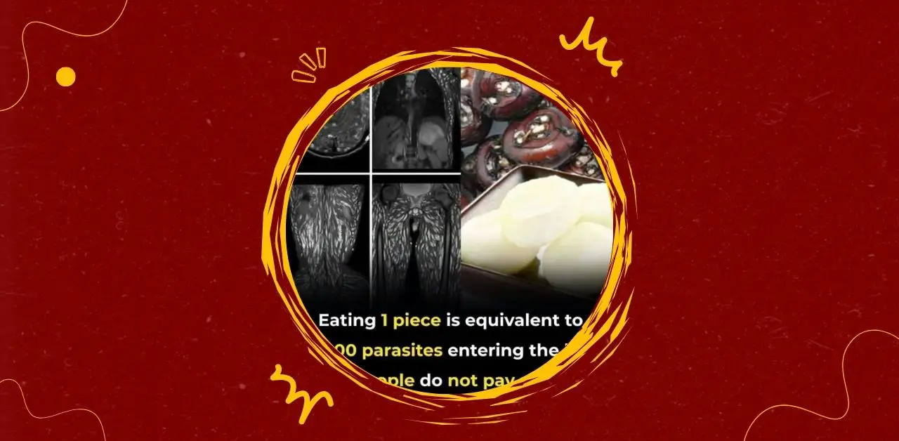 Eating Just One Piece Can Be Harmful Foodborne Parasite Risks