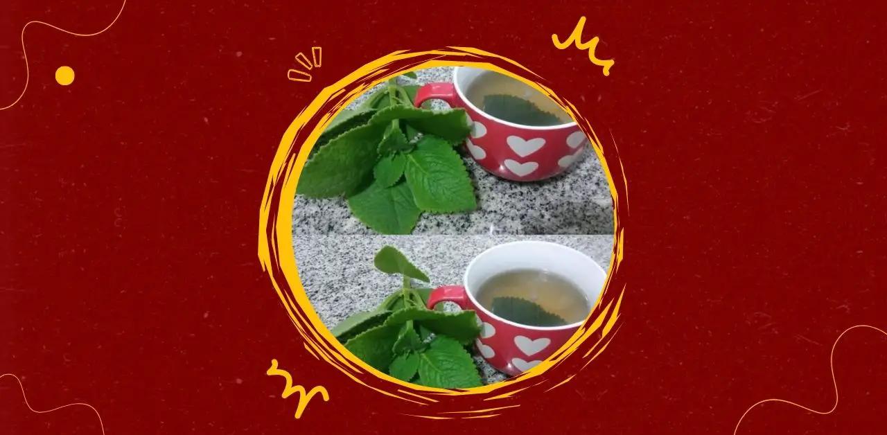Refreshing Herbal Mint Tea Recipe