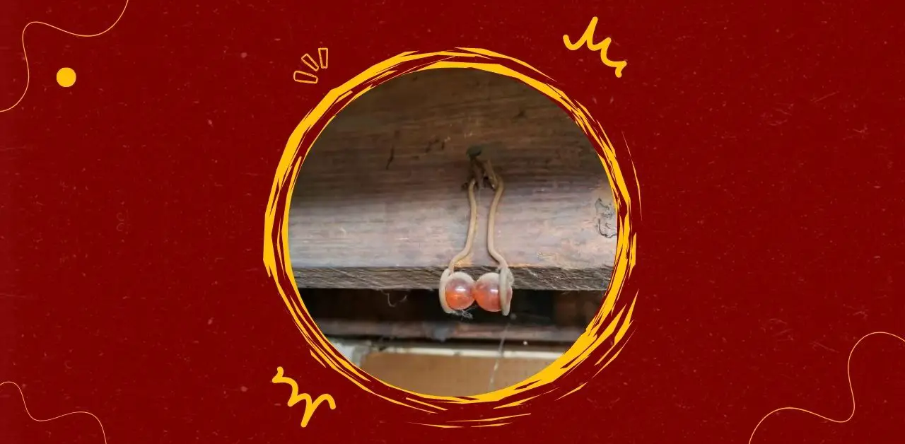 The Charm of Vintage Drawer Pulls Rediscovering Forgotten Details