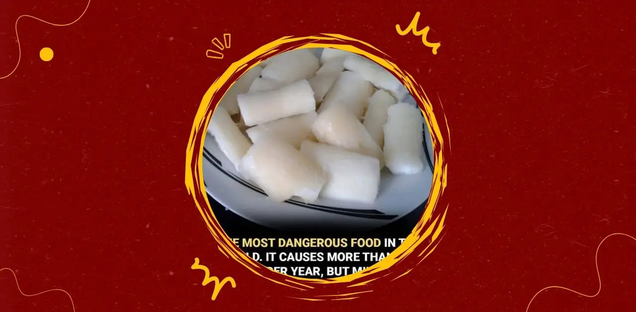 Cassava A Staple Root with Caution You Need To Know