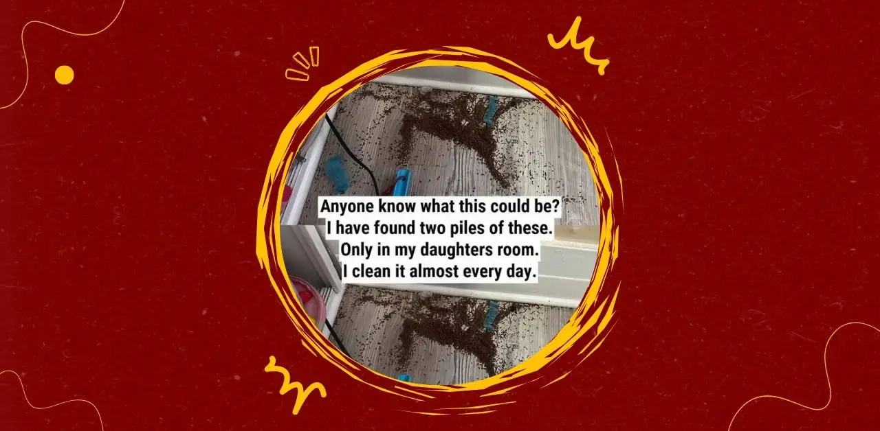 Mysterious Piles in a Child’s Room What Parents Should Know