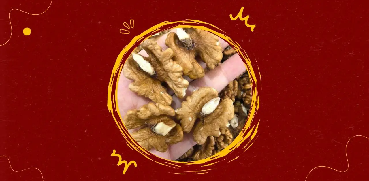 Walnuts Nature’s Brain-Shaped Superfood