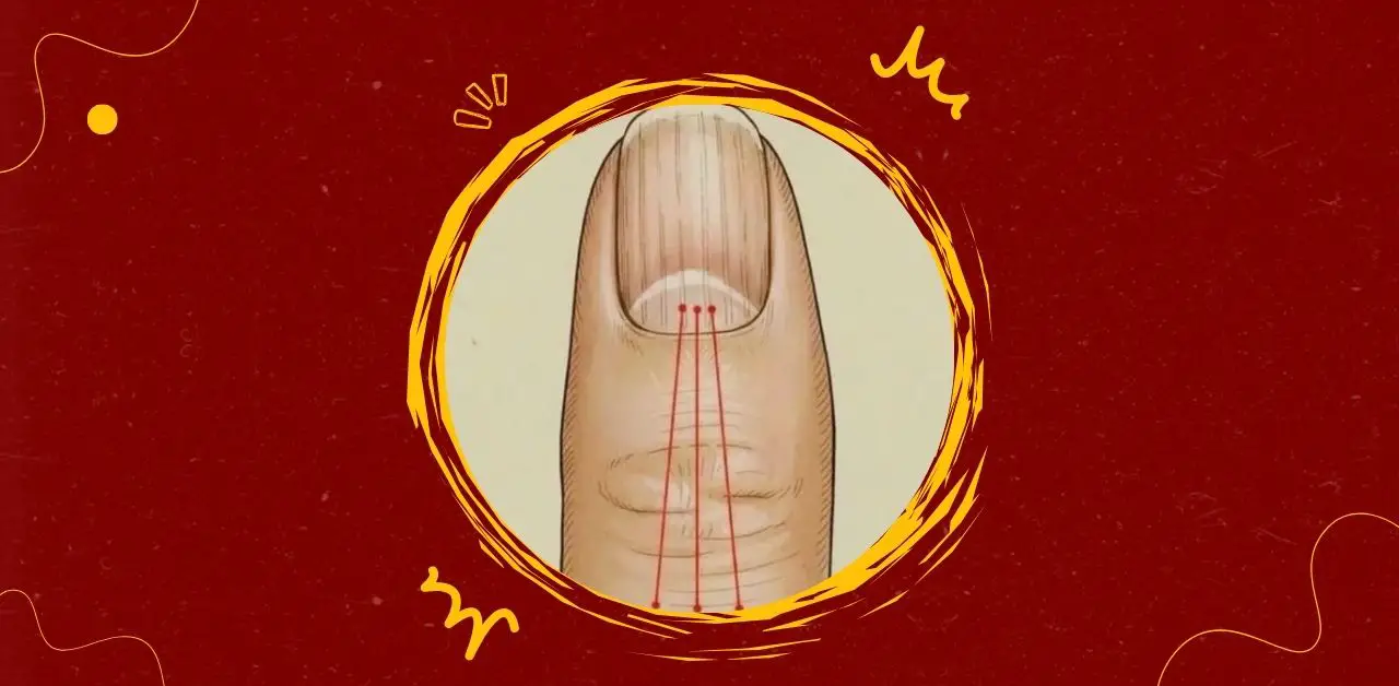 The Lunula What Your Fingernails Reveal