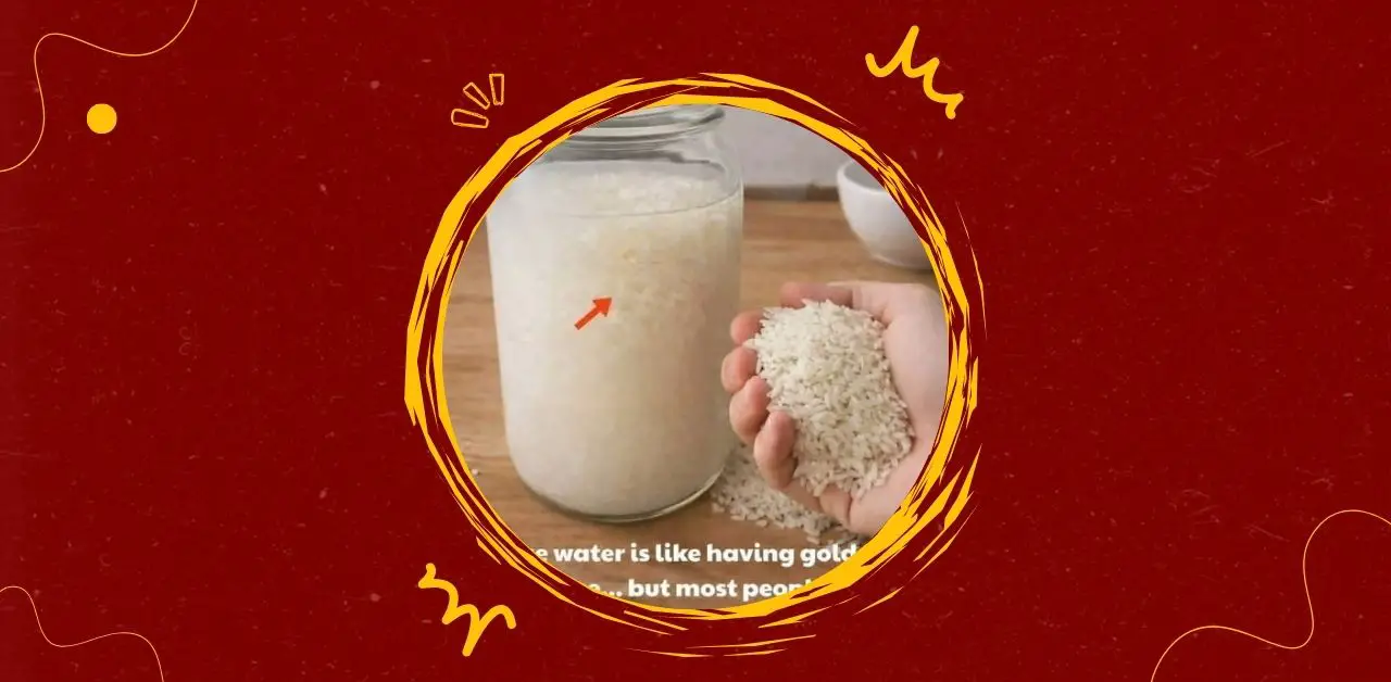 The Hidden Benefits of Natural Rice Water