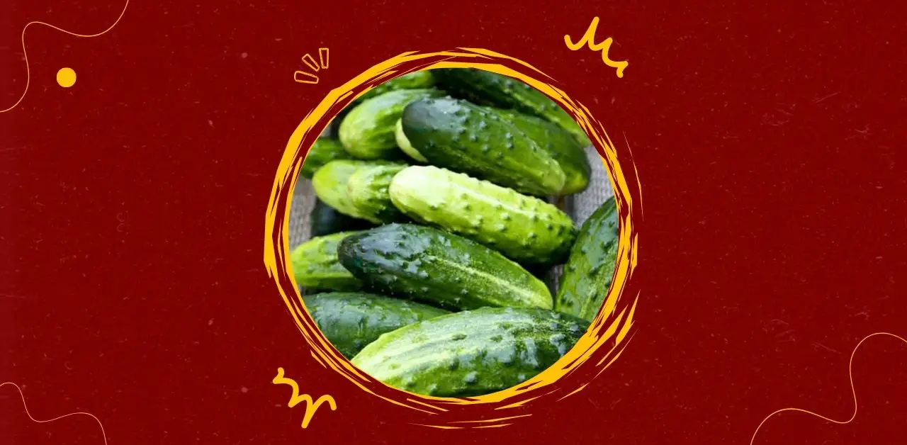 Health Effects of Eating Cucumbers in Salads