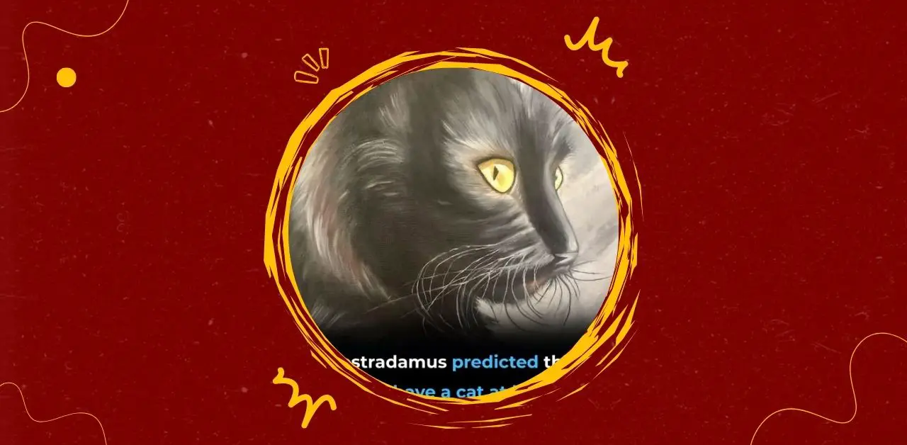Nostradamus, Cats, and the Mystique of Prophecy