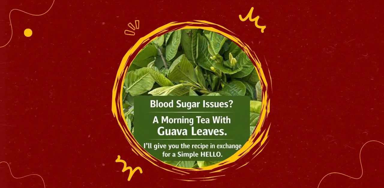 Guava Leaf Natural Morning Tea Recipe