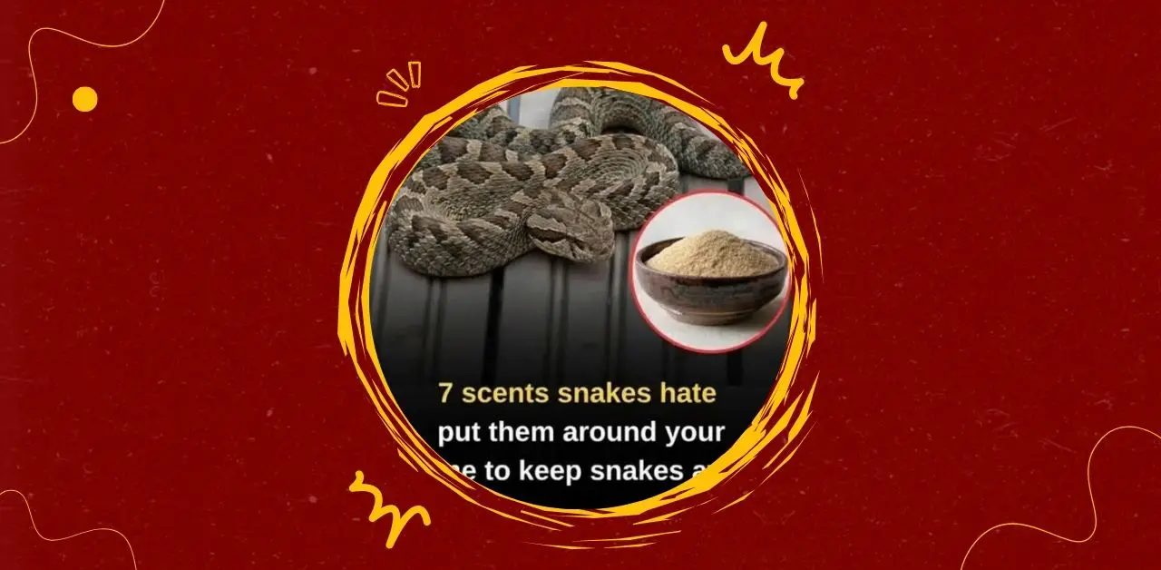 7 Scents Snakes Hate Put Them Around Your Home To Keep Snakes Away
