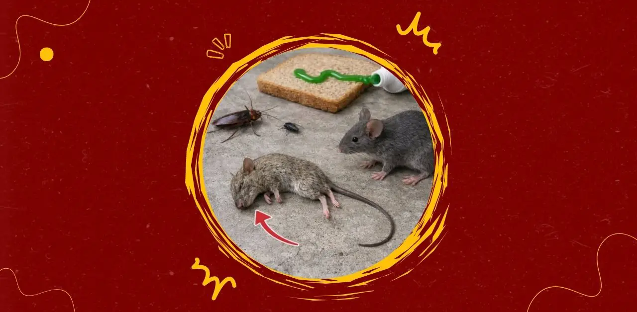 The Hidden Dangers of Homemade Pest Baits