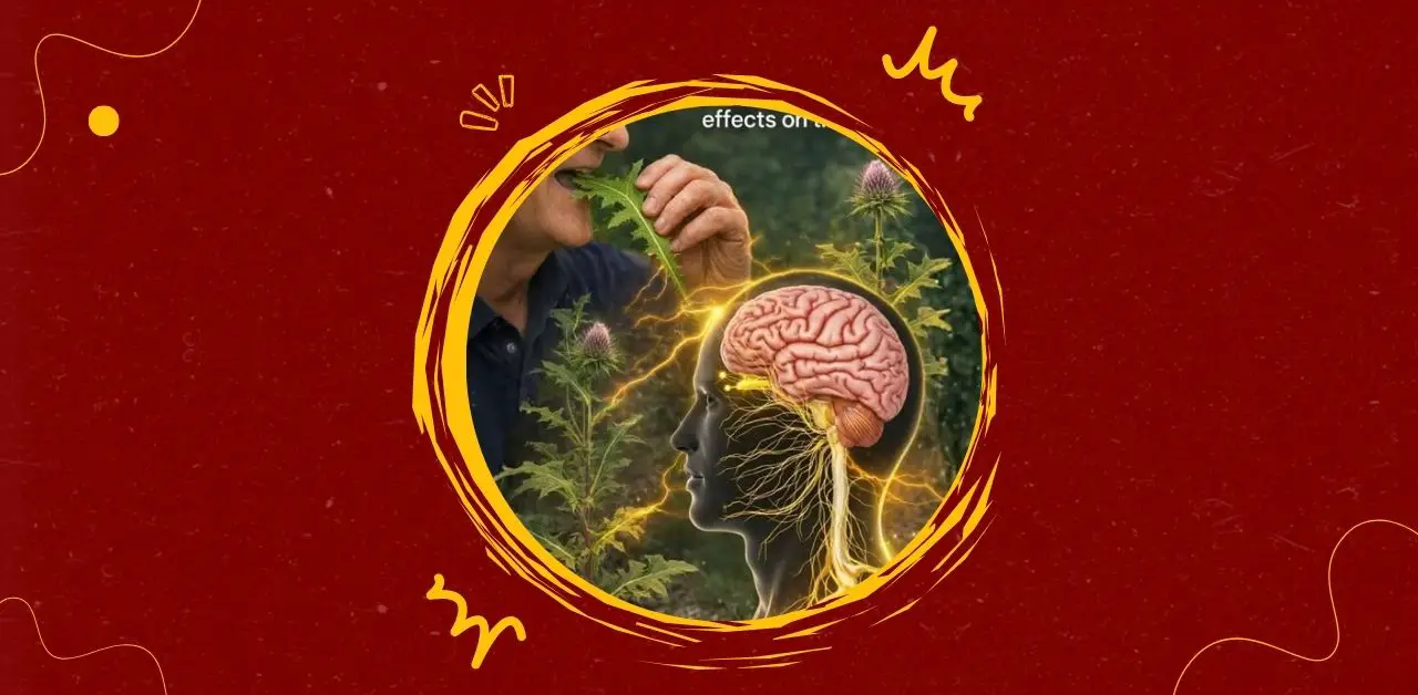 Wild Thistle Brain-Boosting Soup