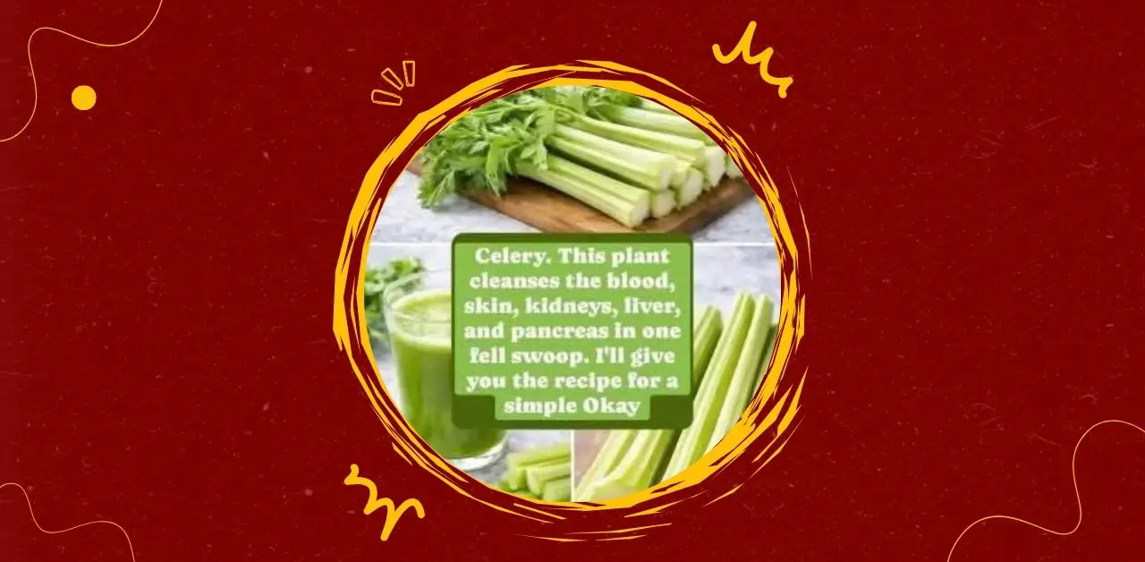 Fresh Celery Juice Crisp, Hydrating, and Naturally Refreshing Recipe