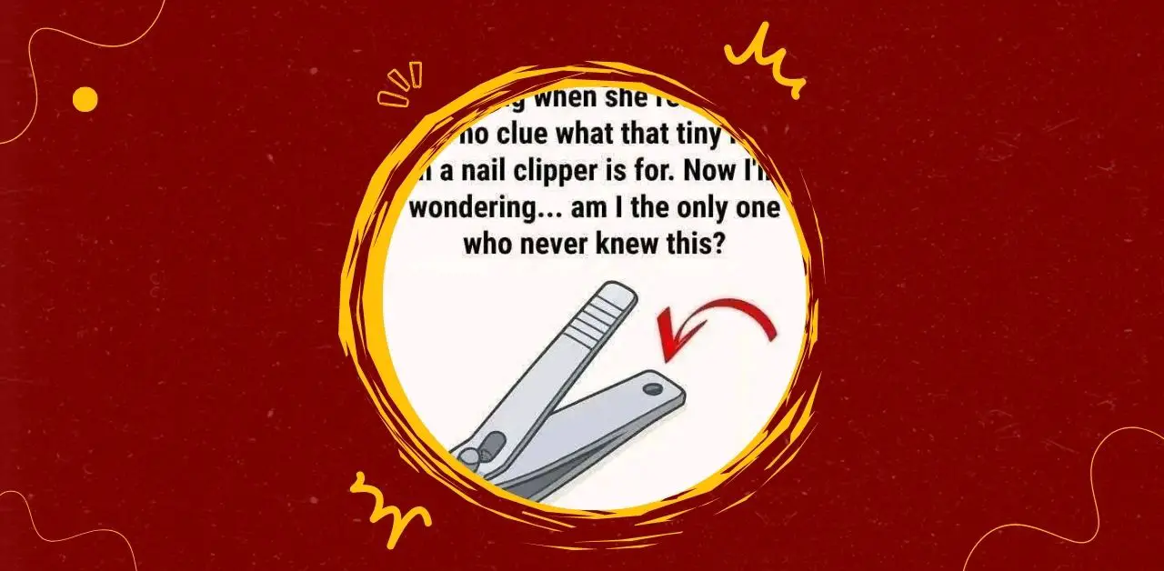 The Hidden Purpose of the Tiny Hole in Nail Clippers