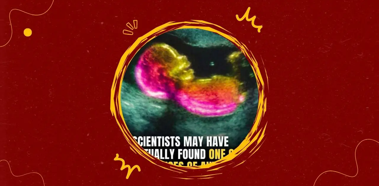 New Clues from Genetics, Metabolism, and Brain Signaling