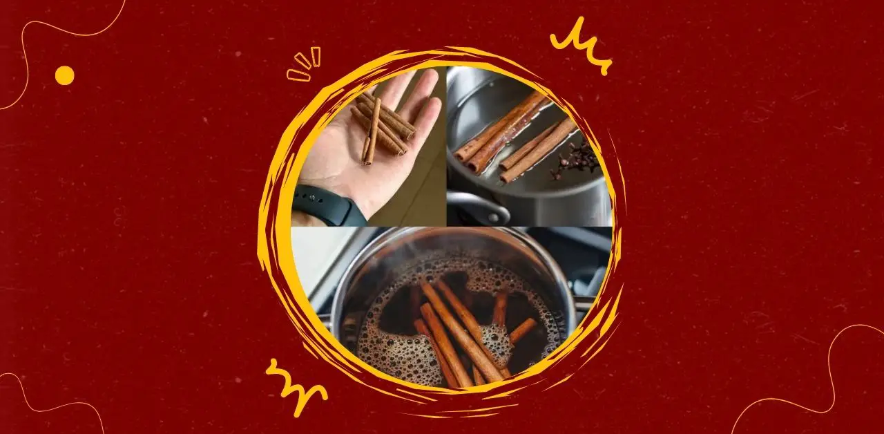 Cinnamon & Star Anise Infusion Recipe