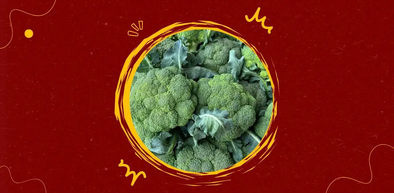 The Nutritional Power of Broccoli